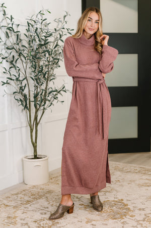 Travel Plush Knit Dress in Autumn Berry by Dear Scarlett