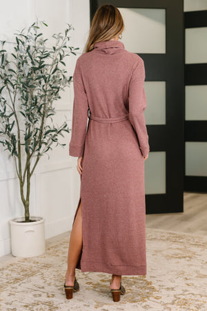 Travel Plush Knit Dress in Autumn Berry by Dear Scarlett